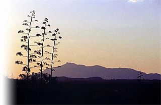 cidade de Cacimba de Areia